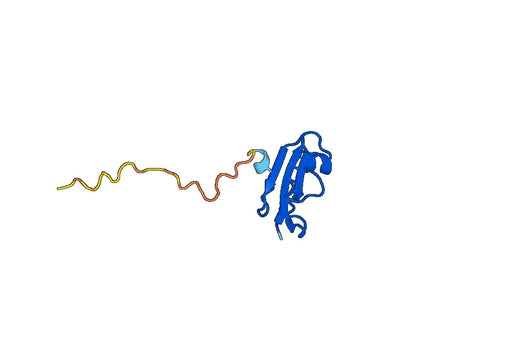 Recombinant Human CD59 Protein, N-His-SUMO