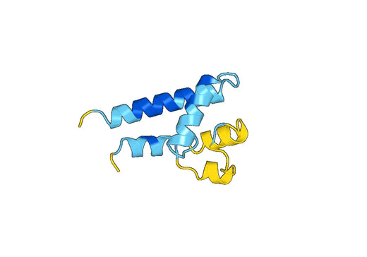 Recombinant Human CD81 Protein, N-His-SUMO