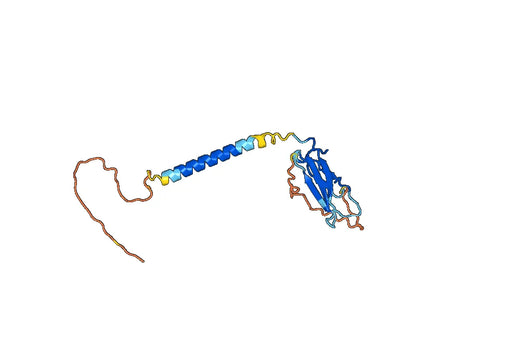 Recombinant Human CD83, N-GST
