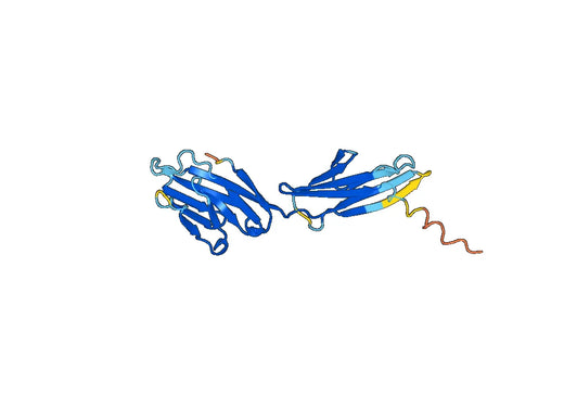 Recombinant Human CD84 Protein, C-His