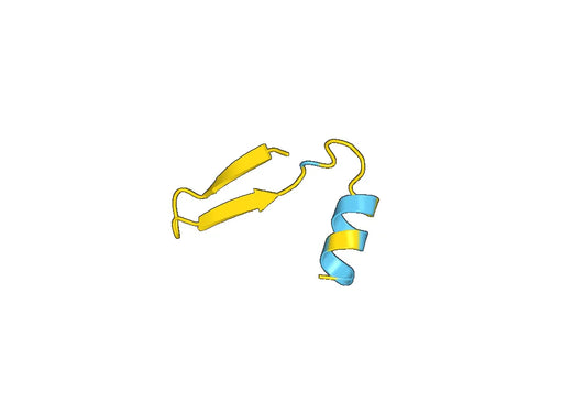 Recombinant Human CD88/C5AR1 Protein, N-His-SUMO