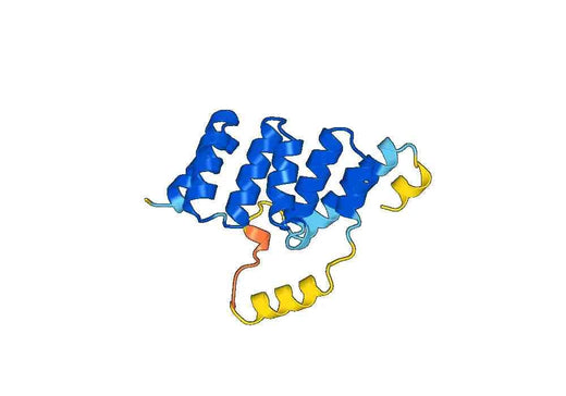 Recombinant Human CDC16, N-His
