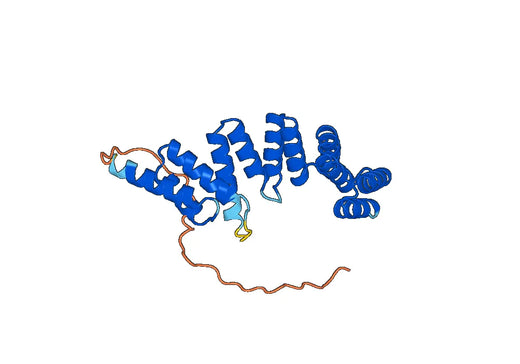 Recombinant Human CDC23, N-His