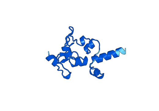 Recombinant Human CDCA7 Protein, N-His