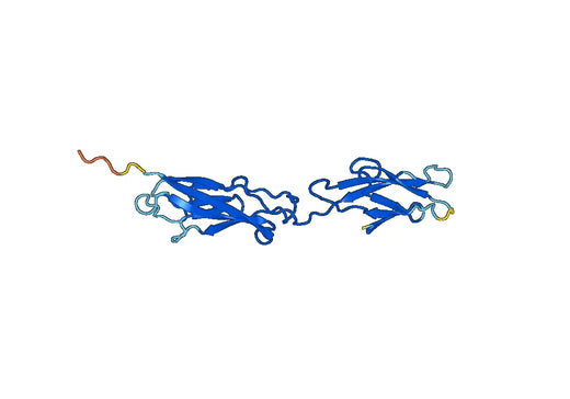 Recombinant Human CDH15, N-His