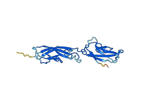 Recombinant Human CDH18, N-His