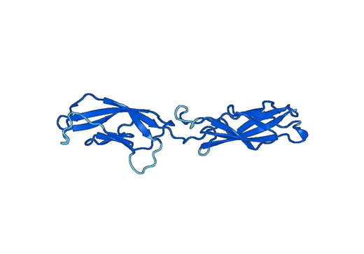 Recombinant Human CDH6/Cadherin-6 Protein, N-His