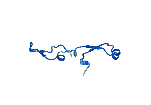 Recombinant Human CDS2 Protein, N-His-SUMO