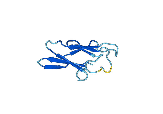 Recombinant Human CEACAM7, N-His