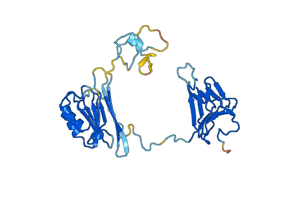 Recombinant Human CEMIP, N-His