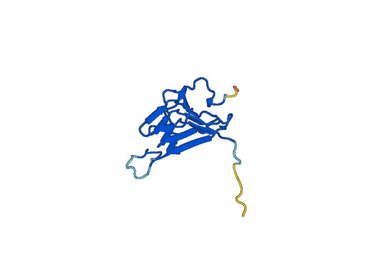 Recombinant Human CEMIP, N-His
