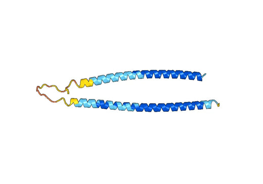 Recombinant Human CENPE, N-His