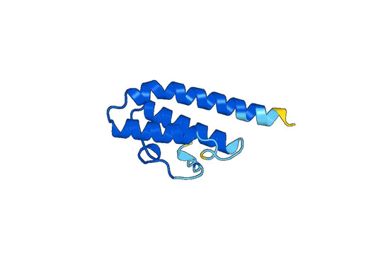 Recombinant Human CEP112 Protein, N-His-SUMO