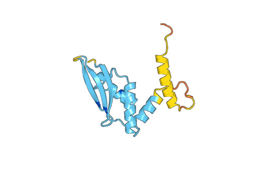 Recombinant Human CEP19 Protein, N-His