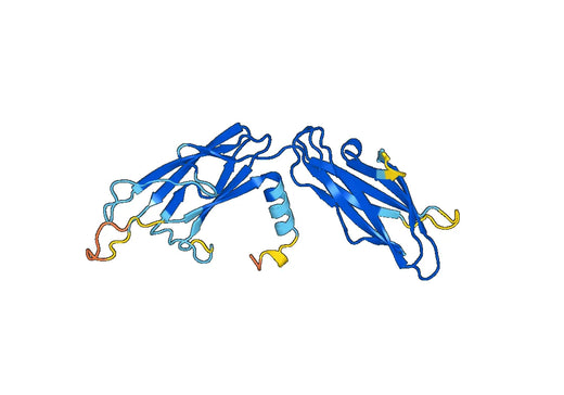 Recombinant Human CEP192 Protein, N-His