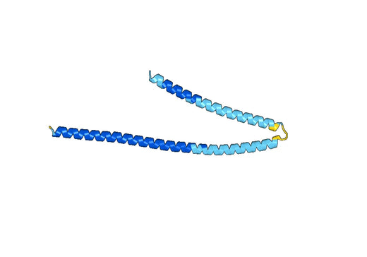 Recombinant Human CEP290 Protein, N-His