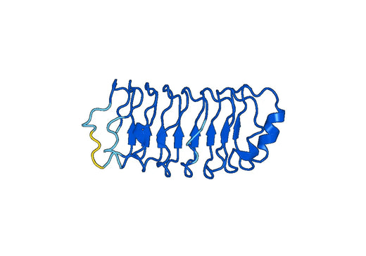 Recombinant Human CEP97 Protein, N-His