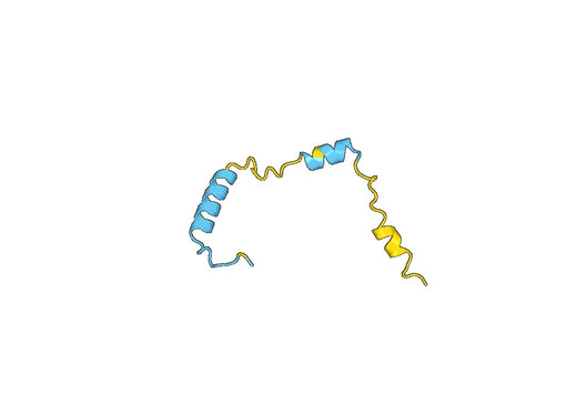 Recombinant Human CEPT1 Protein, N-His-SUMO