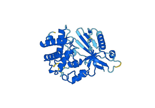 Recombinant Human CGAS Protein, N-His