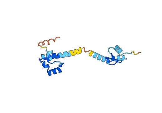 Recombinant Human CGGBP1 Protein, N-His