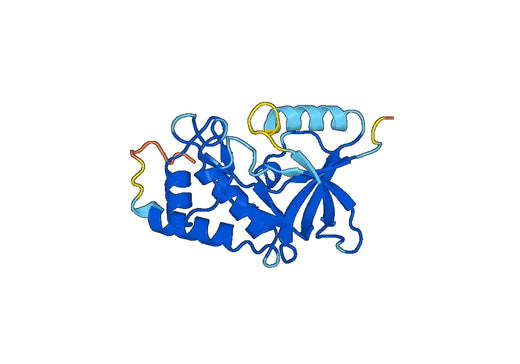 Recombinant Human CHAC1 Protein, N-His