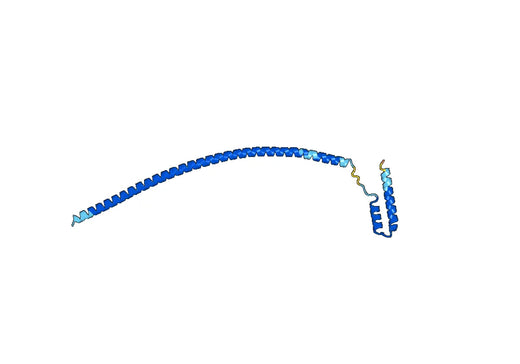 Recombinant Human CHCHD3 Protein, N-His