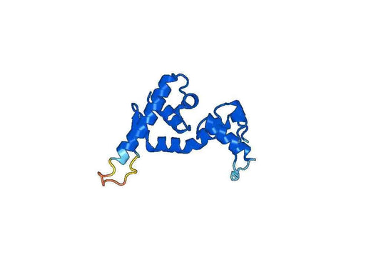 Recombinant Human CHD1 Protein, N-His