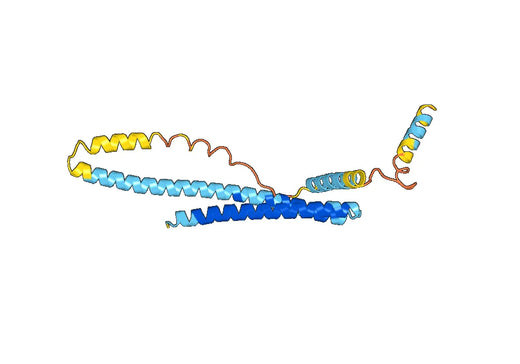 Recombinant Human CHMP1B Protein, N-His