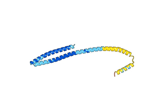 Recombinant Human CHMP6 Protein, N-His