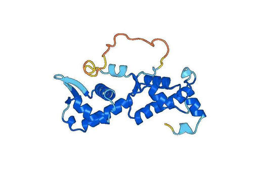 Recombinant Human CHMP7 Protein, N-His
