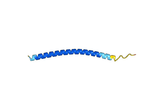Recombinant Human CHOP/GADD153/DDIT3 Protein, N-His-SUMO