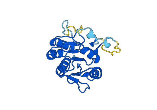 Recombinant Human CHSY1 Protein, N-His