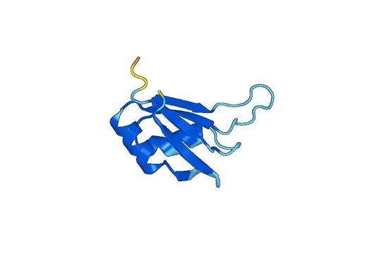 Recombinant Human CIRBP Protein, N-His-SUMO & C-Strep