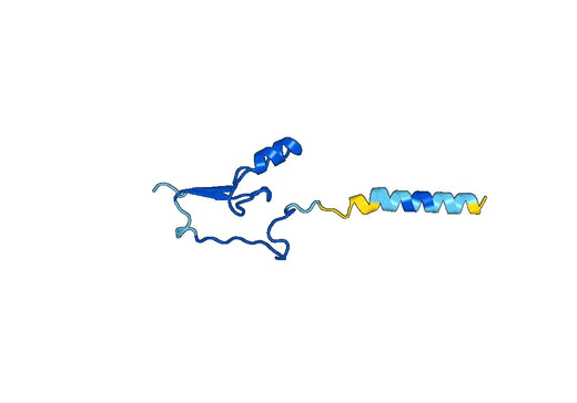 Recombinant Human CISD1 Protein, N-His-SUMO