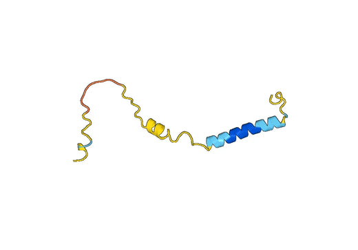 Recombinant Human CLN3 Protein, N-GST & C-His