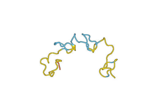 Recombinant Human CNBP Protein, N-His-SUMO