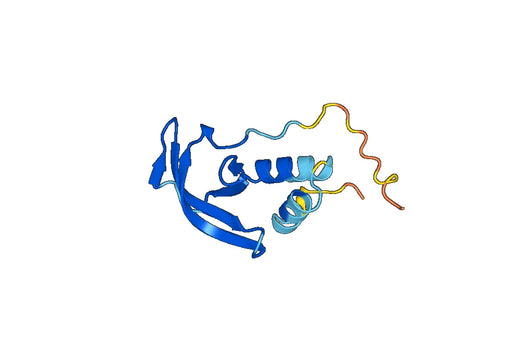 Recombinant Human CNOT2 Protein, N-His