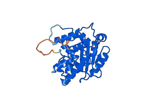 Recombinant Human CNOT7 Protein, N-His