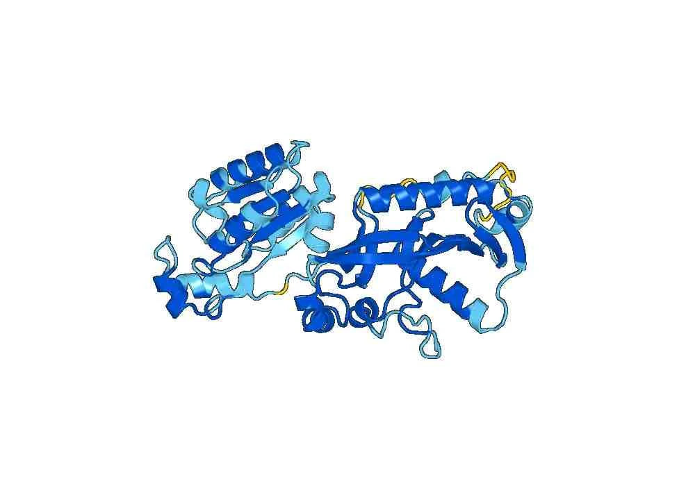 Recombinant Human CNP Protein, N-His