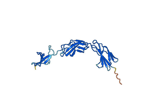 Recombinant Human CNTN1, N-His