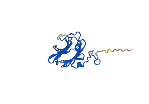 Recombinant Human COL14A1, N-GST