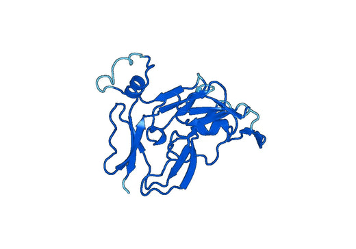 Recombinant Human COL4A4, N-His