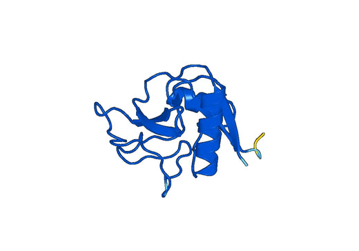 Recombinant Human COLEC11 Protein, N-His