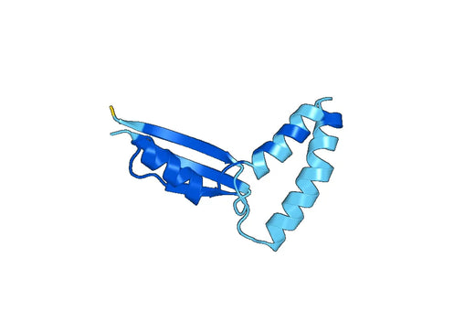 Recombinant Human COQ5 Protein, N-His-SUMO