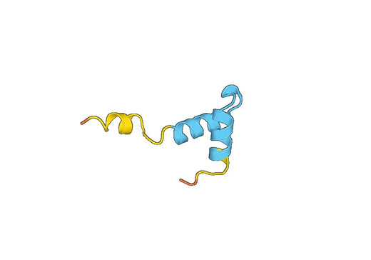 Recombinant Human COX4I2 Protein, N-His-SUMO