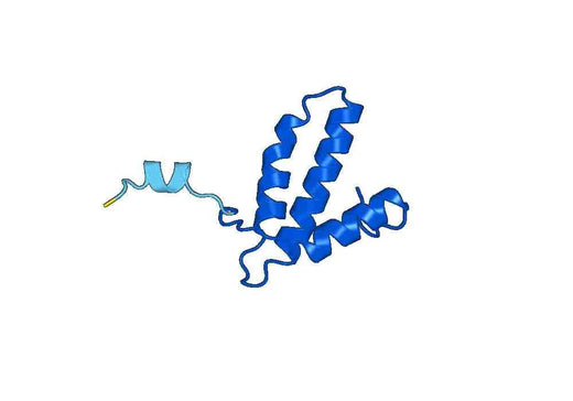 Recombinant Human COX6B1 Protein, N-His-SUMO