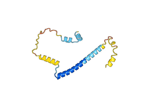 Recombinant Human CPLX1 Protein, N-His