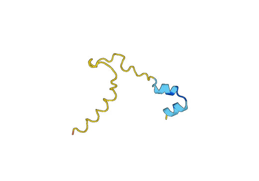 Recombinant Human CPLX2 Protein, N-His-SUMO
