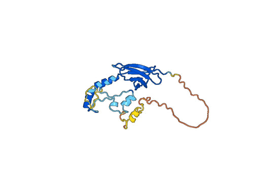 Recombinant Human CPZ, N-His