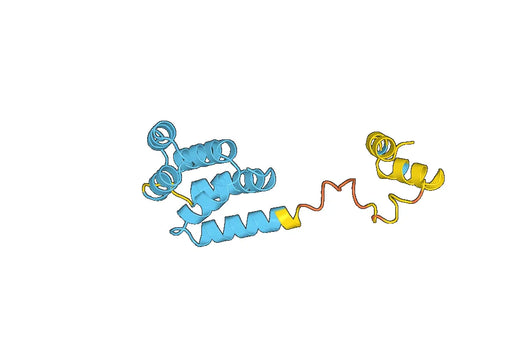 Recombinant Human CRADD, N-His